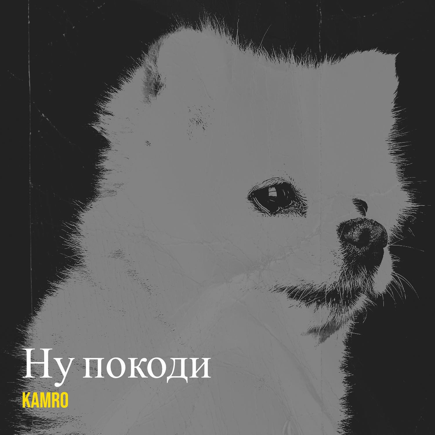 Ну покоди
