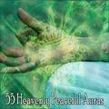 55 Heavenly Peaceful Auras