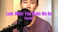 Look What You Made Me Do(Cover)专辑