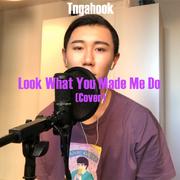 Look What You Made Me Do(Cover)