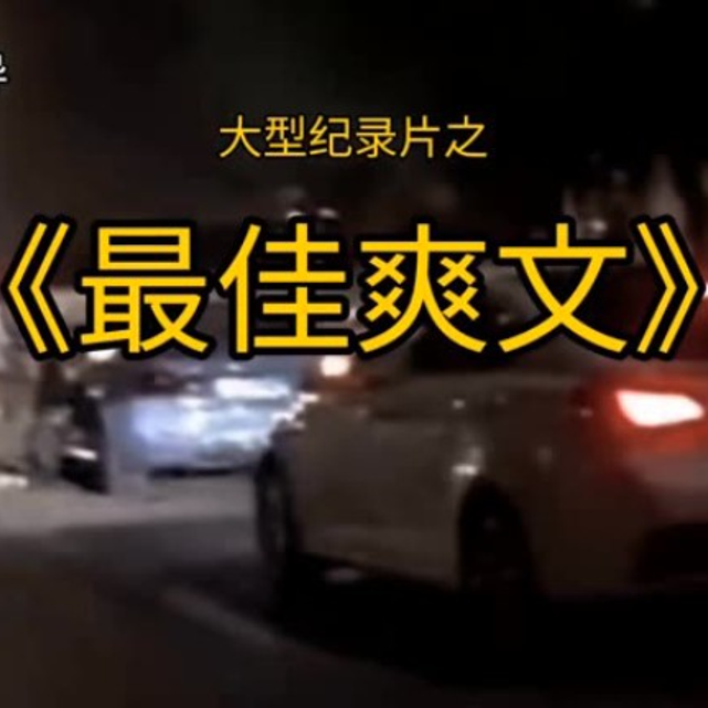 大型纪录片《最佳爽文》