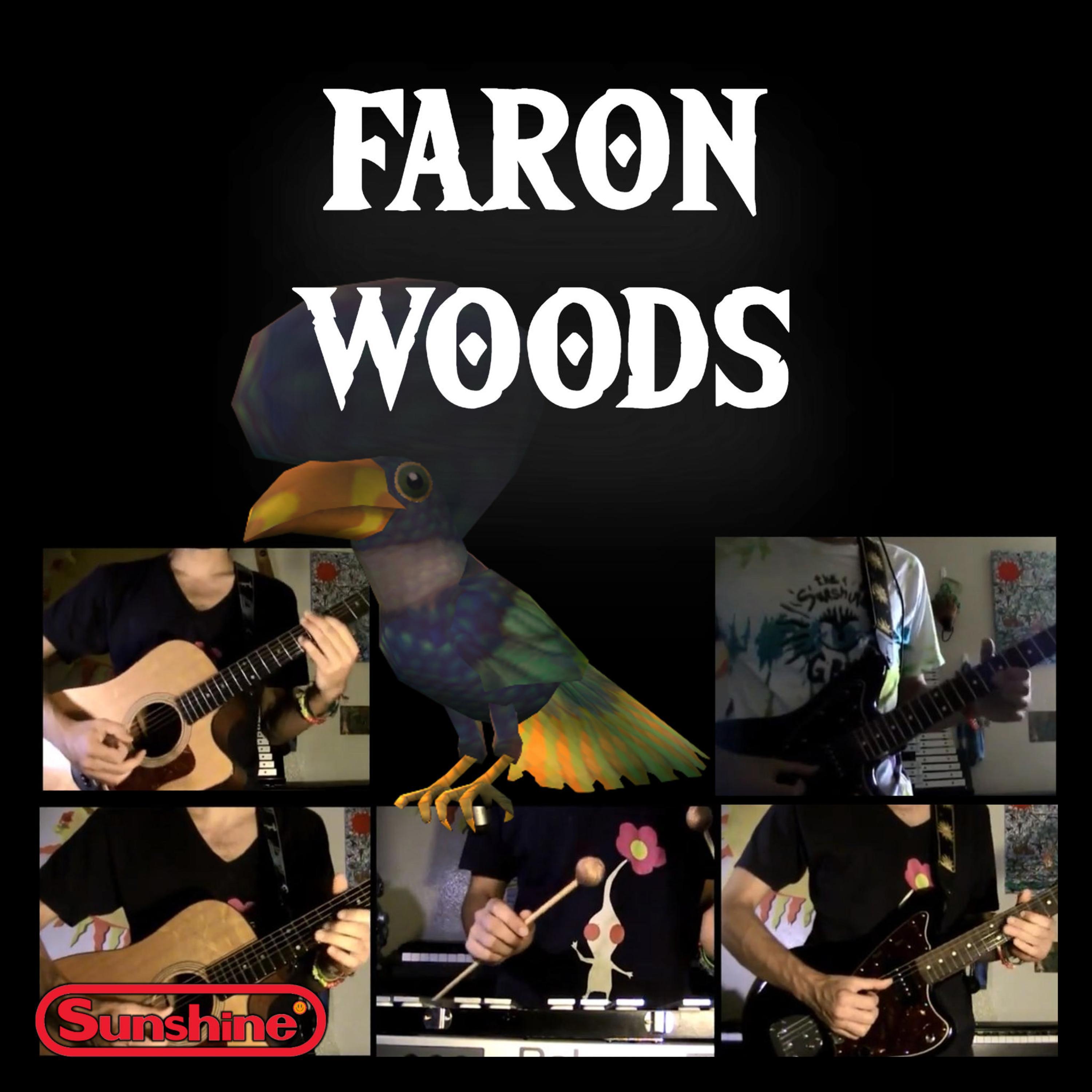 Faron Woods (Twilight Princess)