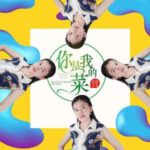 艺容王子 - 你是我的菜(DJ何鹏版) （升7半音）