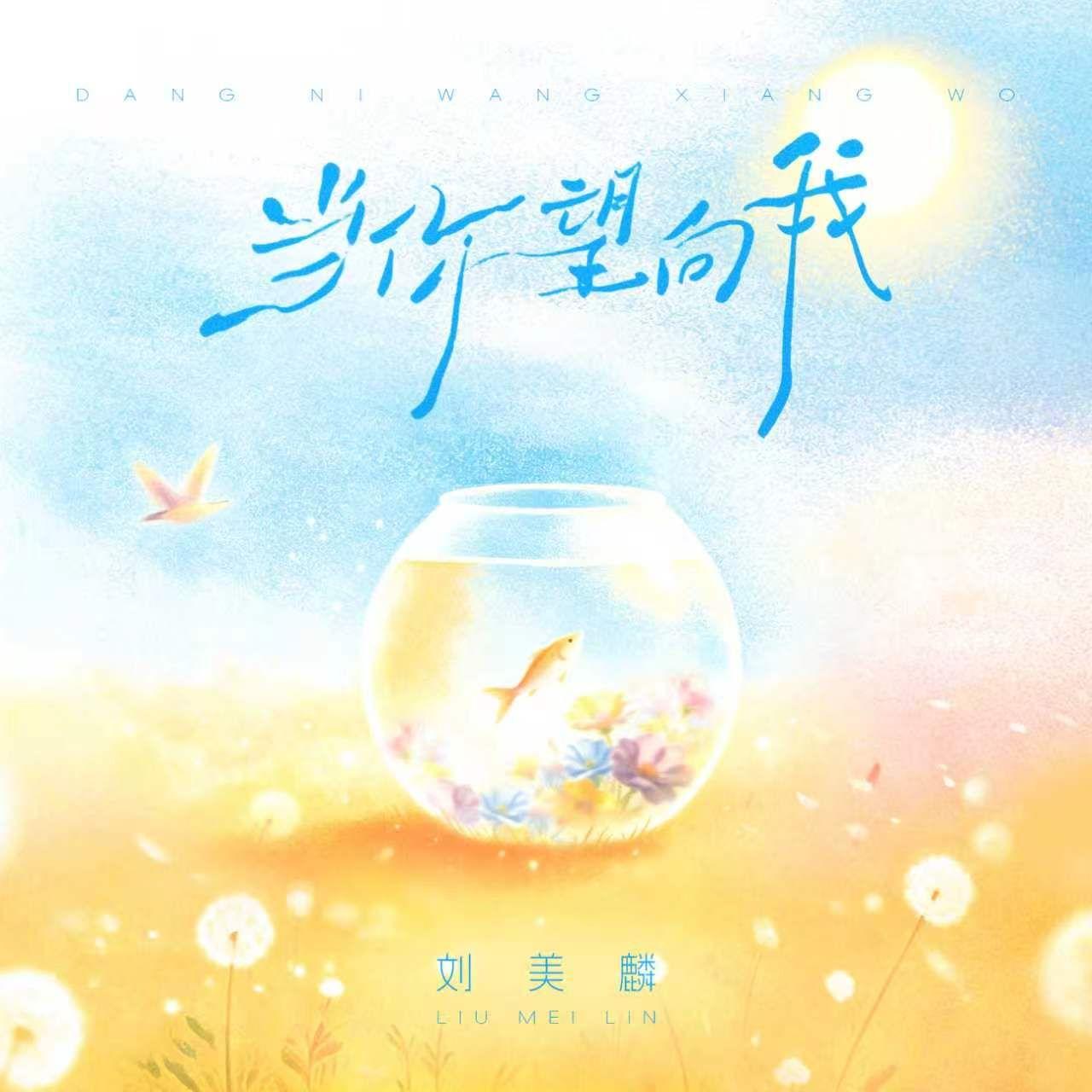 当你望向我
