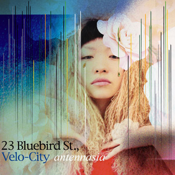 23 Bluebird Street, Velo-City
