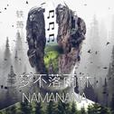 梦不落雨林｜NAMANANA专辑