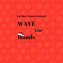 Wave Your Hands专辑