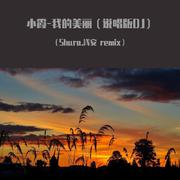 小霞-我的美丽（说唱版DJ）（Shura.浅安 remix）