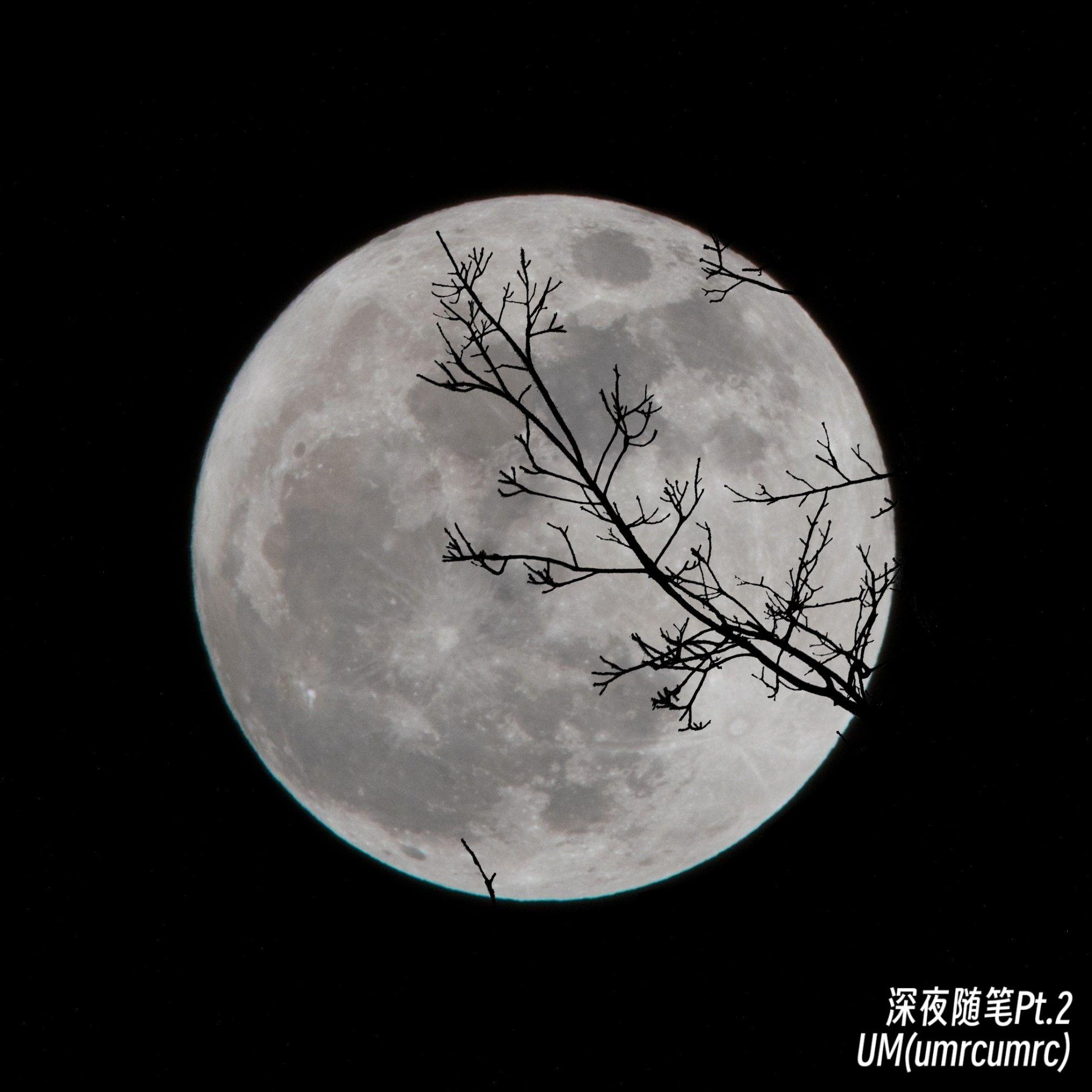 我也想过忘记你