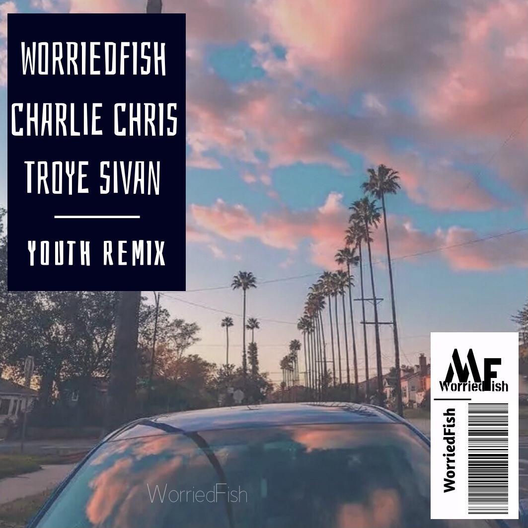 YOUTH remix