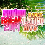 Spring Break 2014 (Dance Latino Hits)