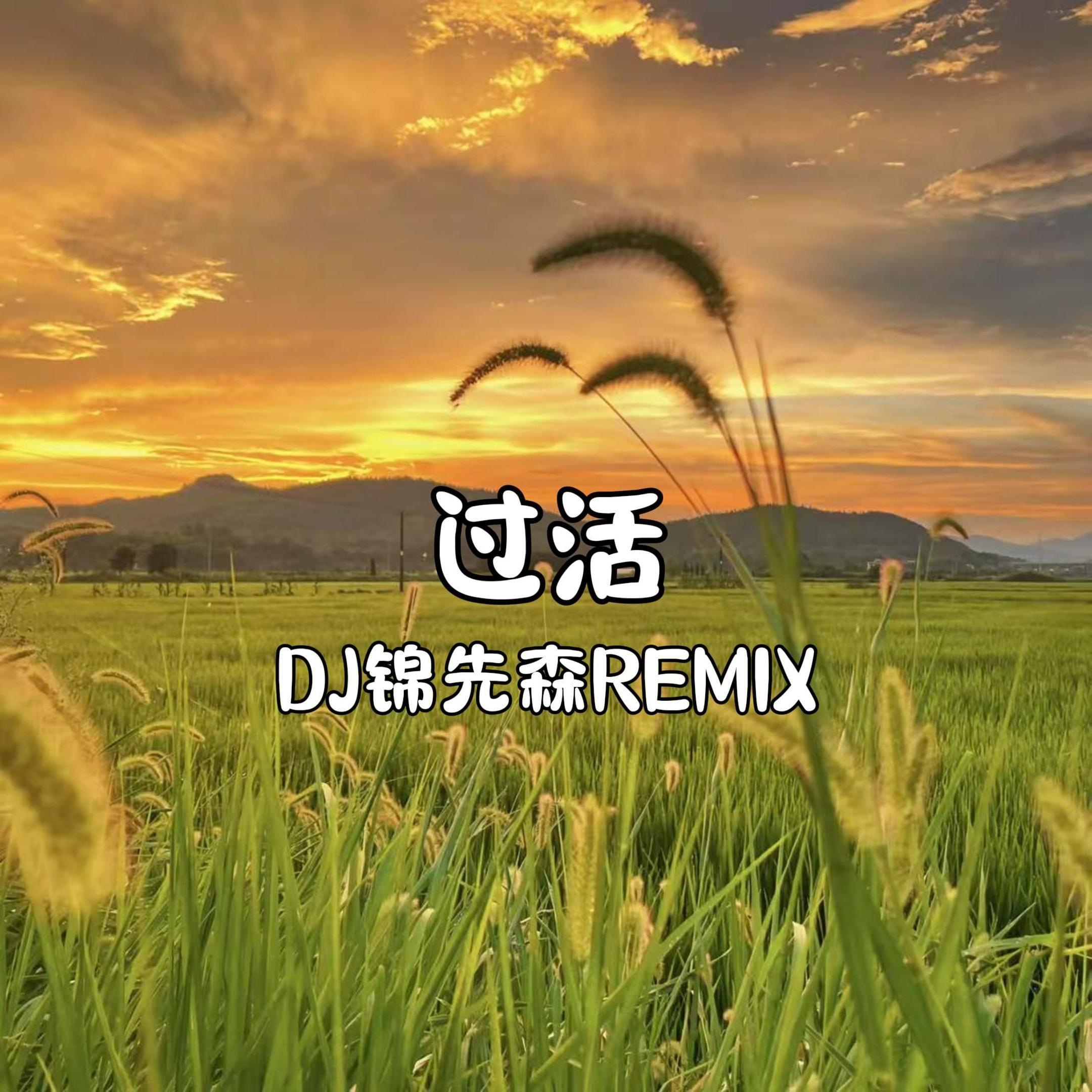 过活（DJ锦先森 Remix）第二版