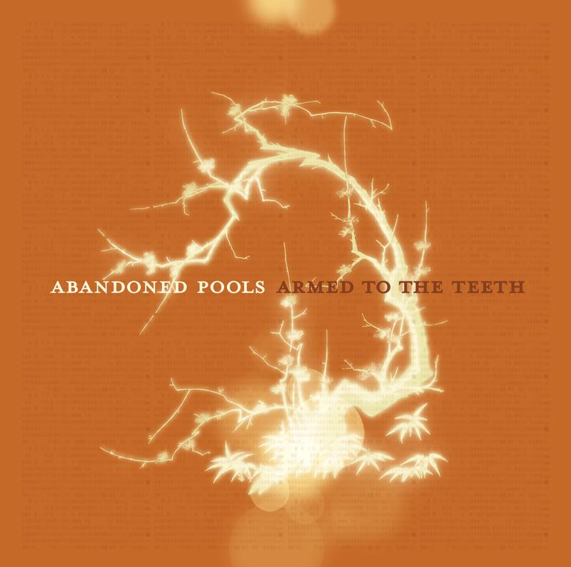Abandoned Pools - Maybe Than Someday (Album Version)
