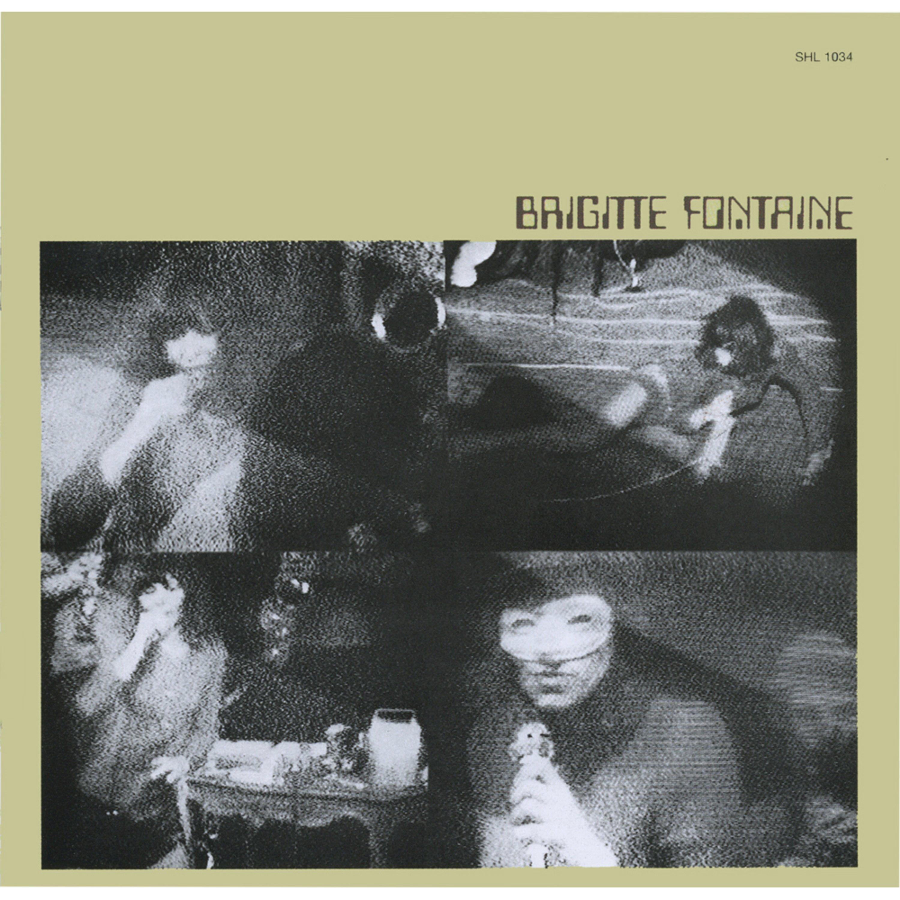 Brigitte Fontaine