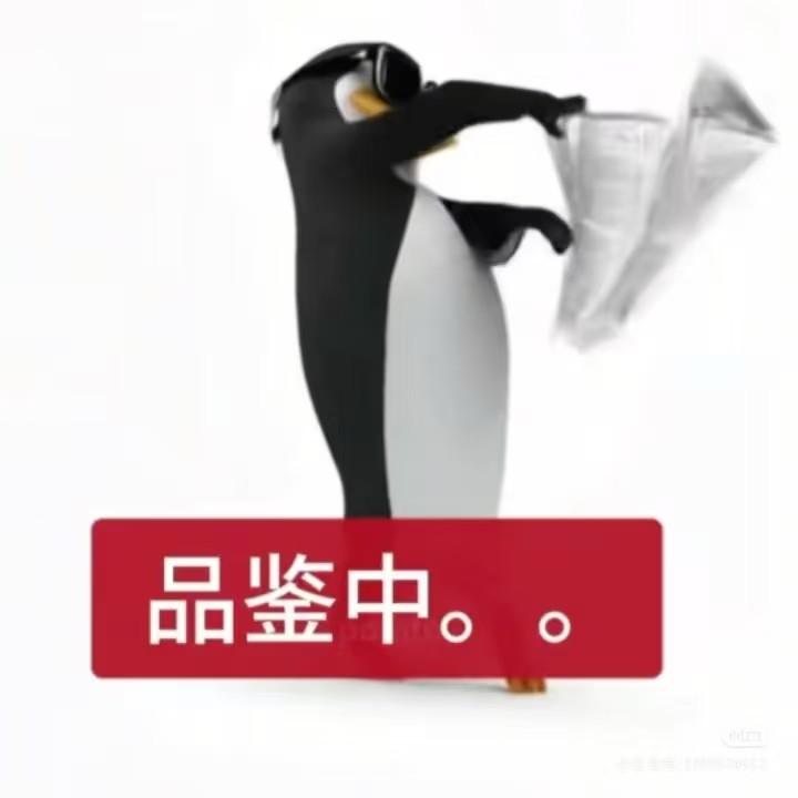 品鉴企鹅舞姿