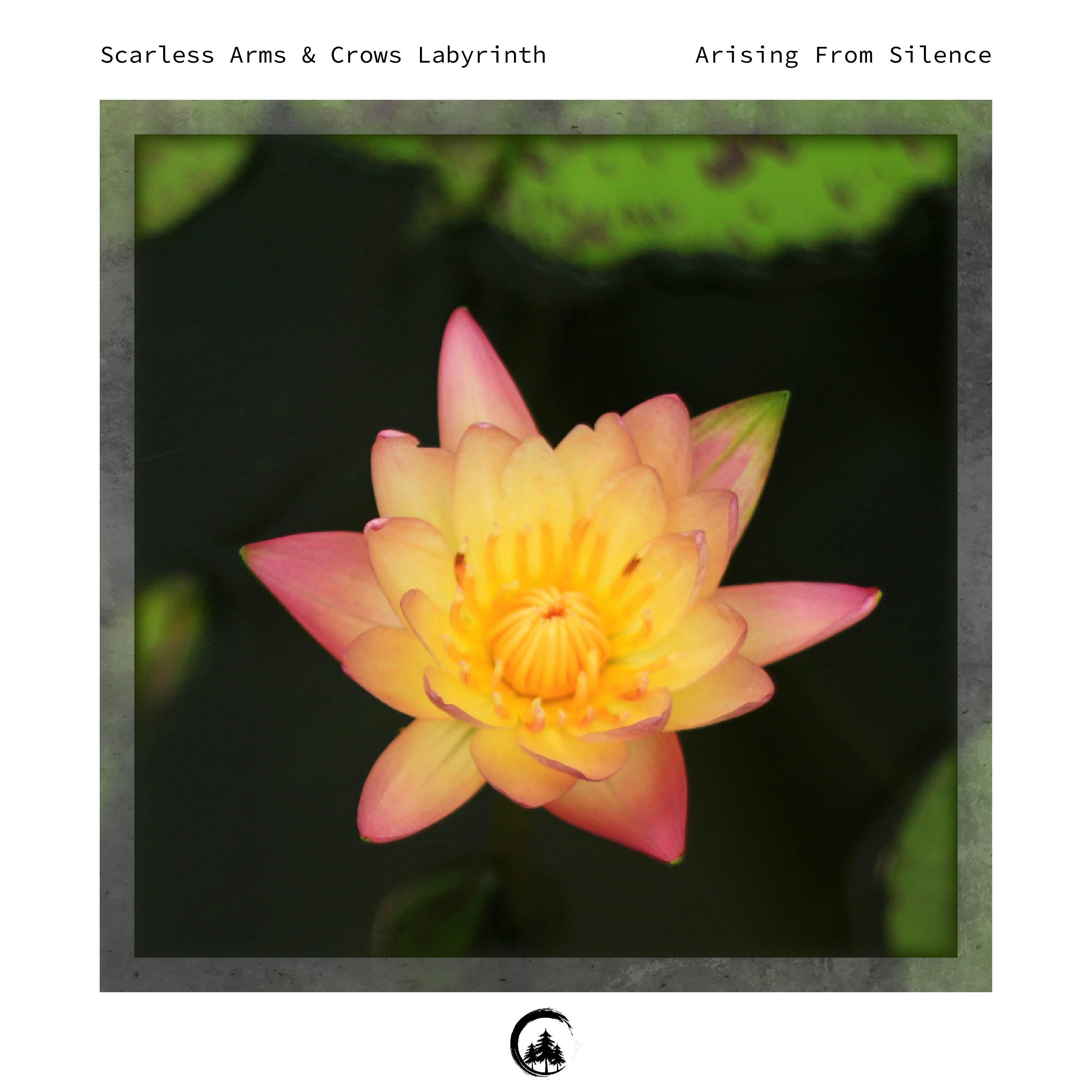 Arising from Silence