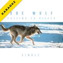 She Wolf (Falling to Pieces) [Karaoke Version] - Single专辑