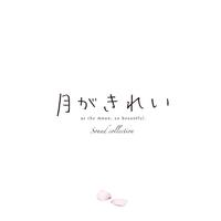 everlasting~未来(あす)への願い~ ---高机动幻想