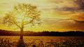 Everlasting Hope (Period Drama Piano & Strings)专辑