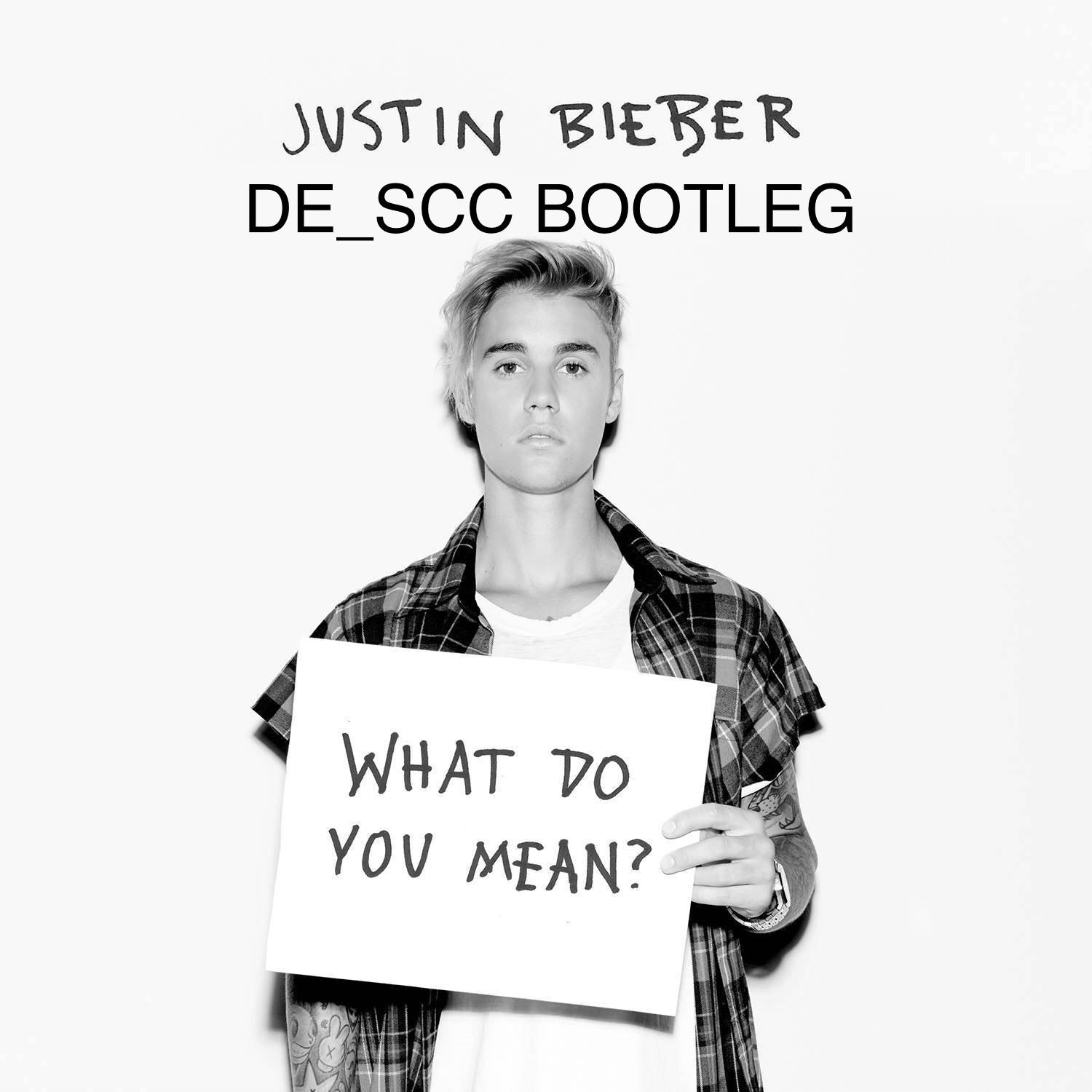 What Do You Mean (DE_SCC Bootleg)专辑