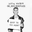 What Do You Mean (DE_SCC Bootleg)专辑