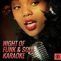 Night of Funk & Soul Karaoke专辑