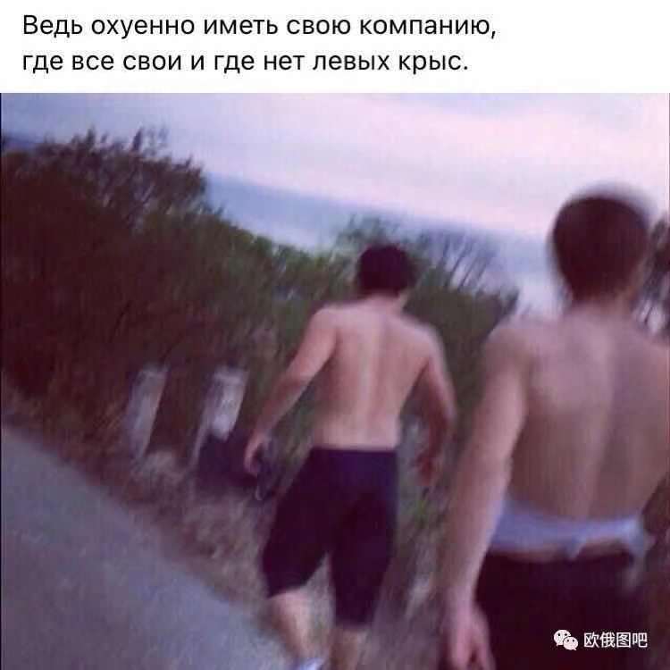 давай давай R