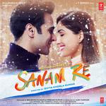 Sanam Re (Original Motion Picture Soundtrack)专辑