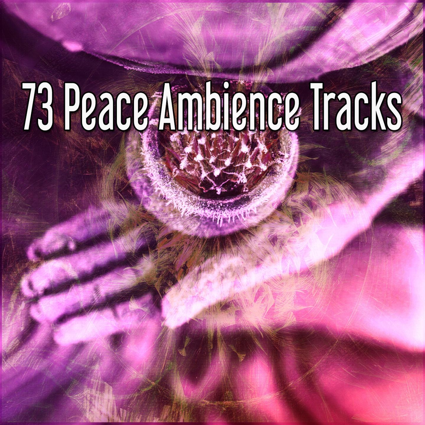 73 Peace Ambience Tracks专辑