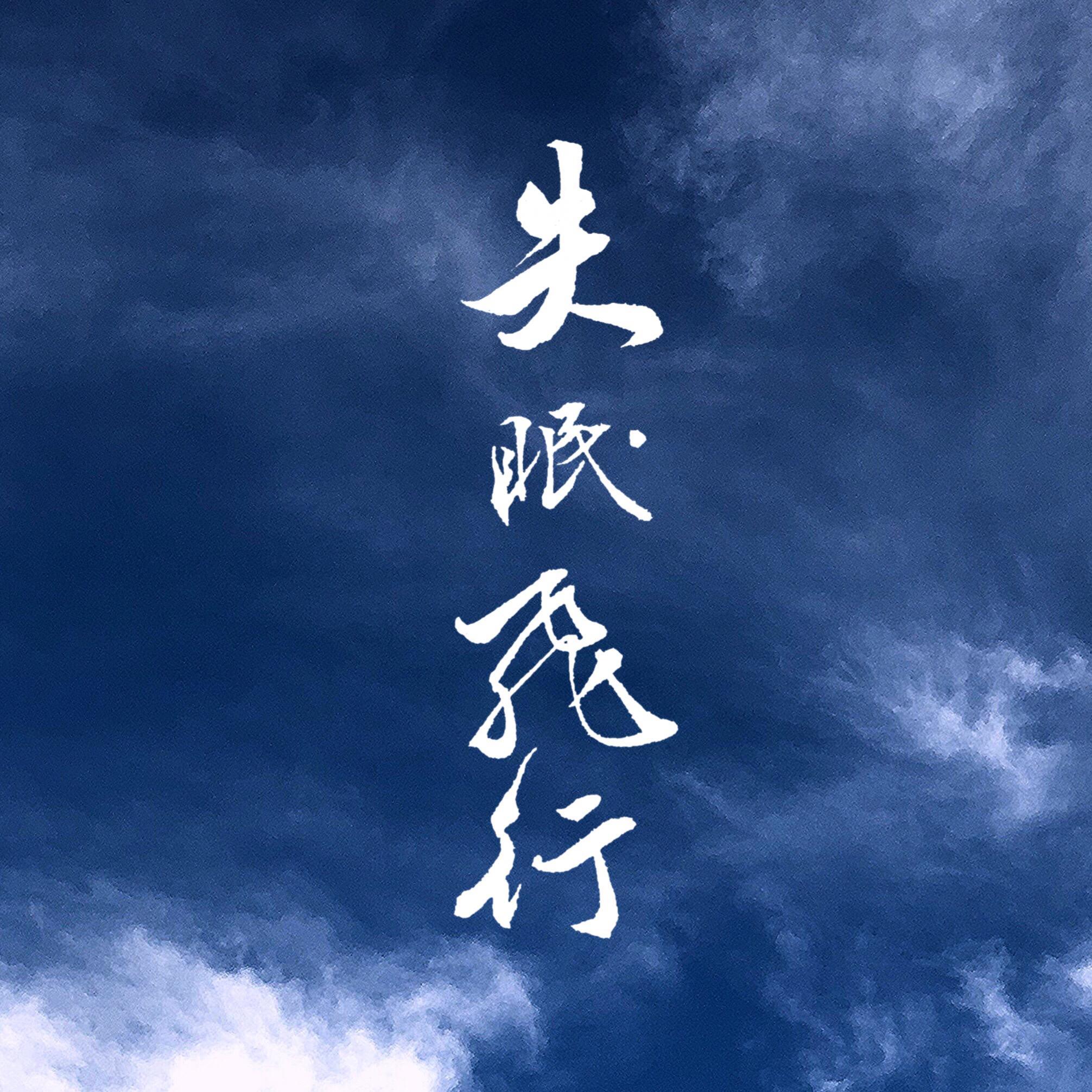 失眠飞行