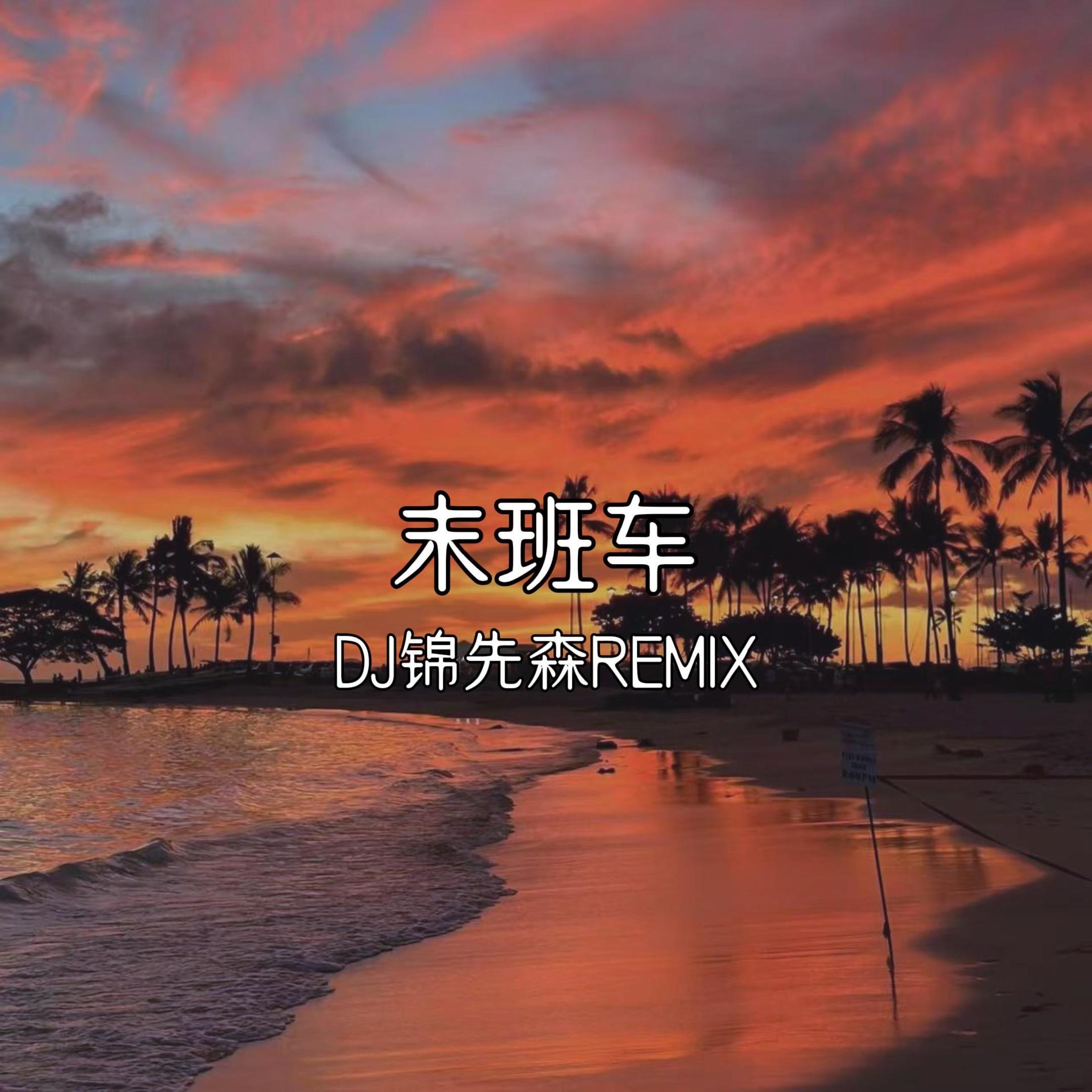 末班车（DJ锦先森 Remix）