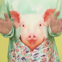 Piggy Piggy专辑