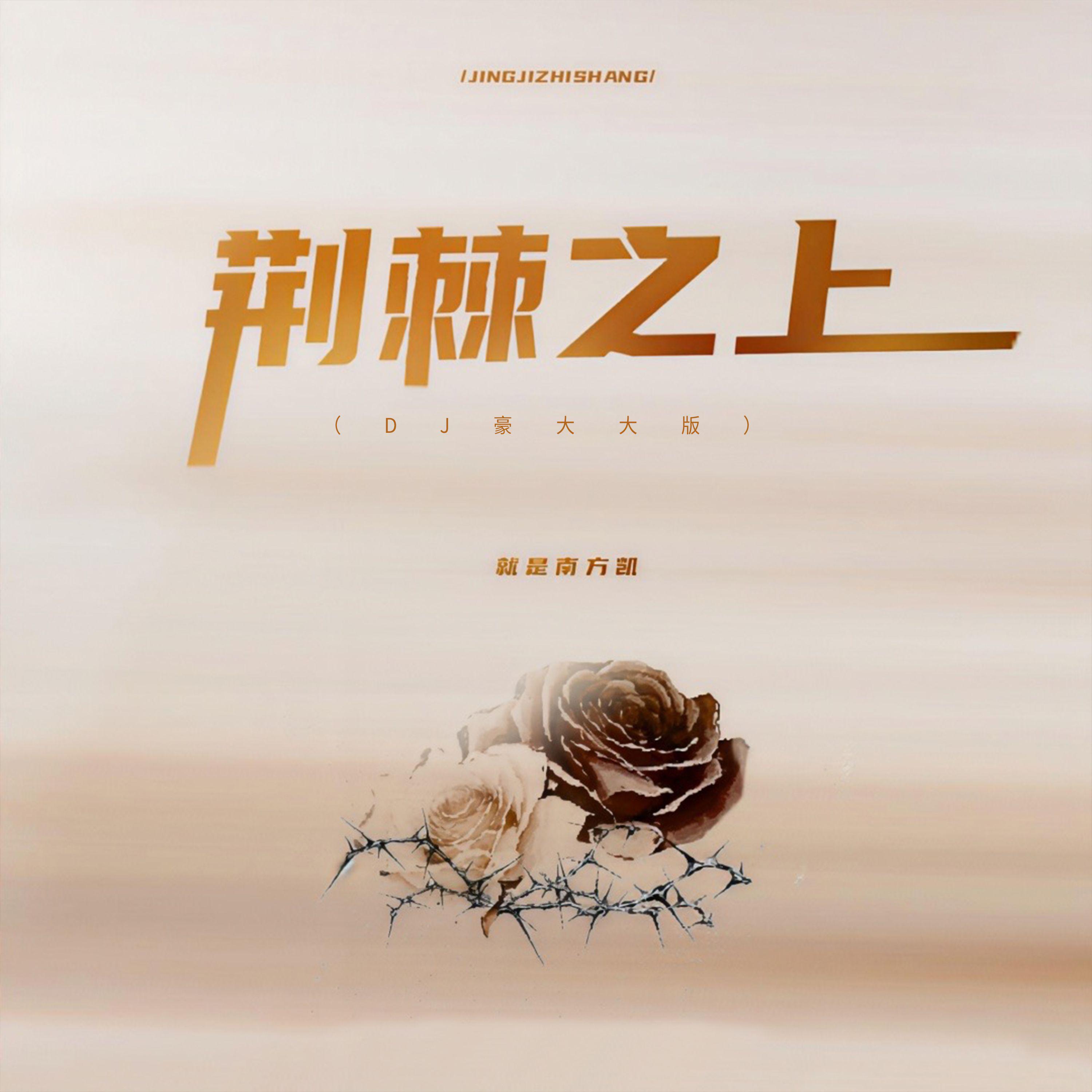 荆棘之上（DJ豪大大版）