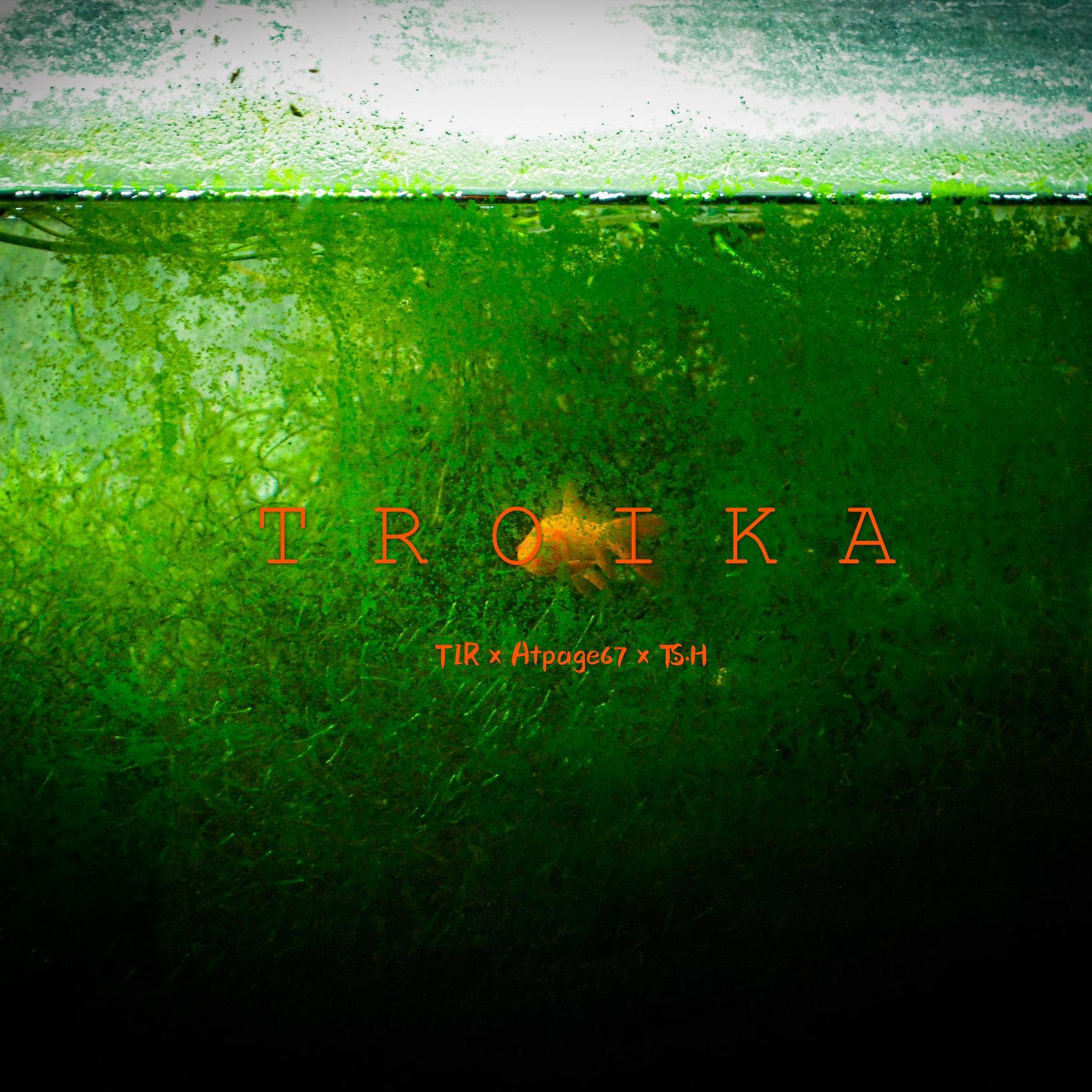 TROIKA