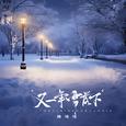 又一年雪落下