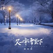 又一年雪落下