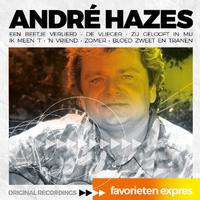 re Hazes - Het Is Koud Zonder Jou (karaoke)