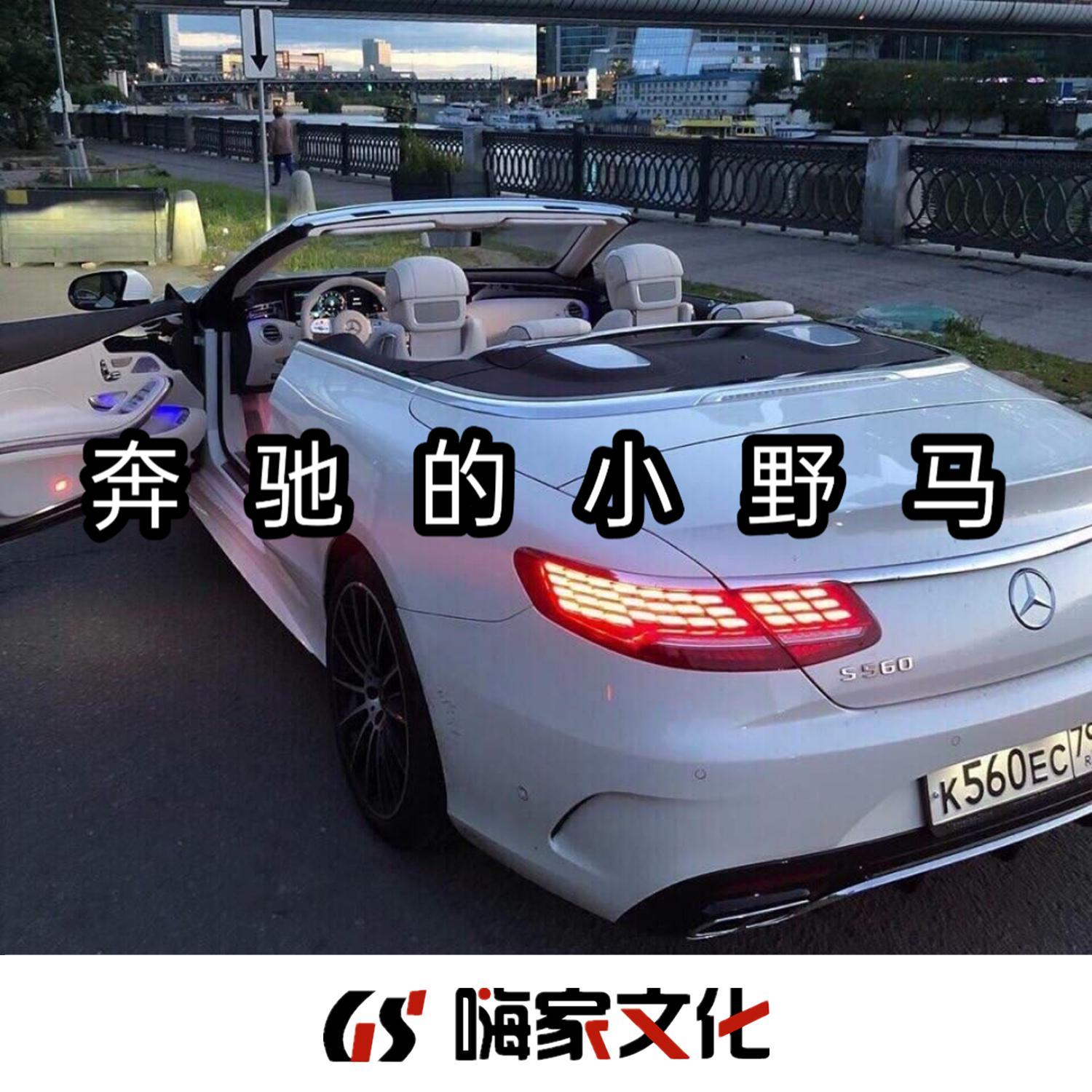 奔驰的小野马