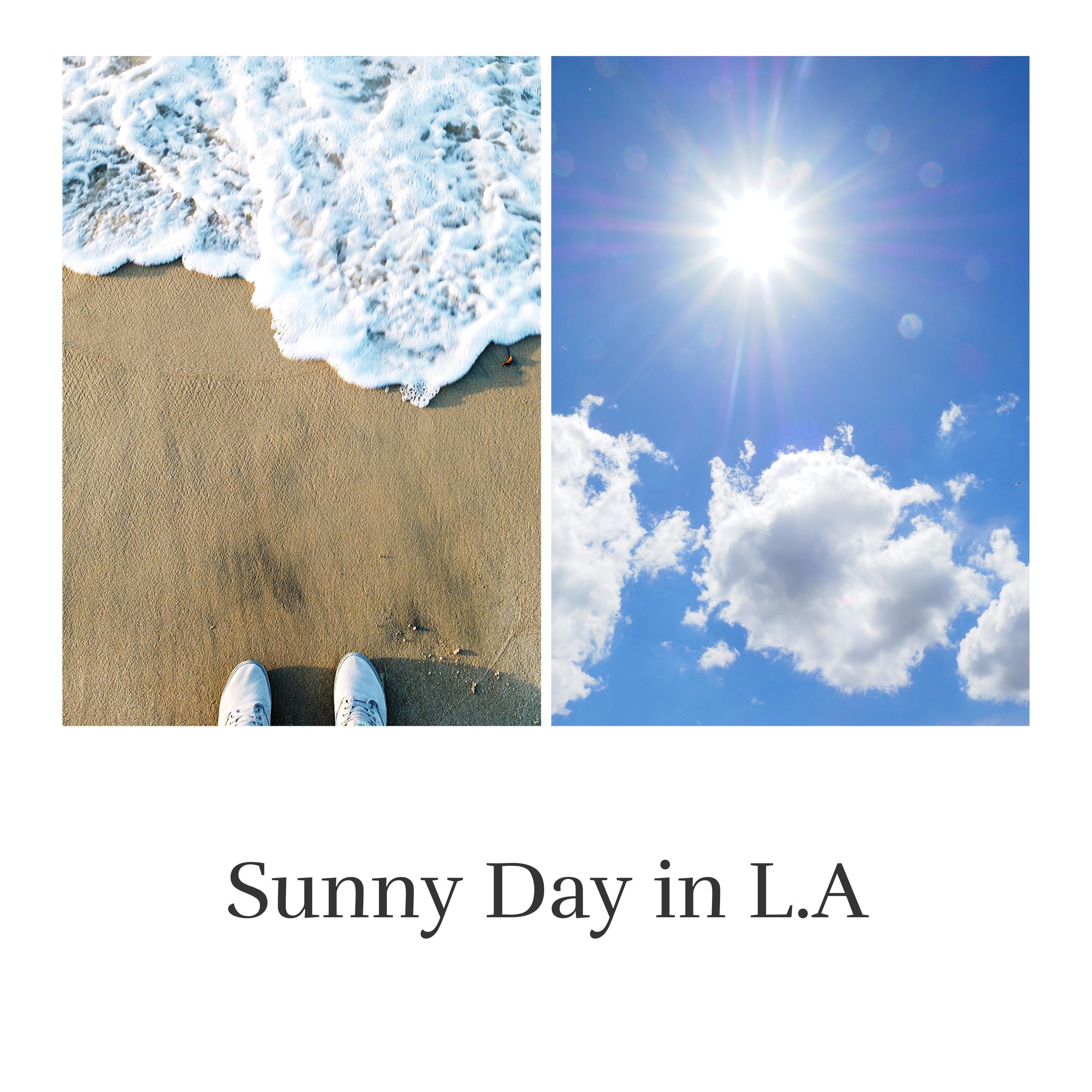 Sunny Day in L.A.