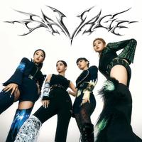 (aespa)Savage - 和声伴奏(带垫音)