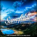 Stay Alive (Sam Feldt & Chris Meid Remix)