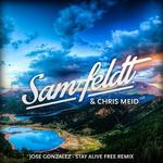Stay Alive (Sam Feldt & Chris Meid Remix)专辑