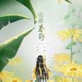花枝春野