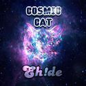 Cosmic Cat专辑