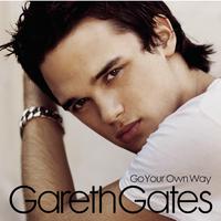 Gareth Gates - Go Your Own Way (karaoke)
