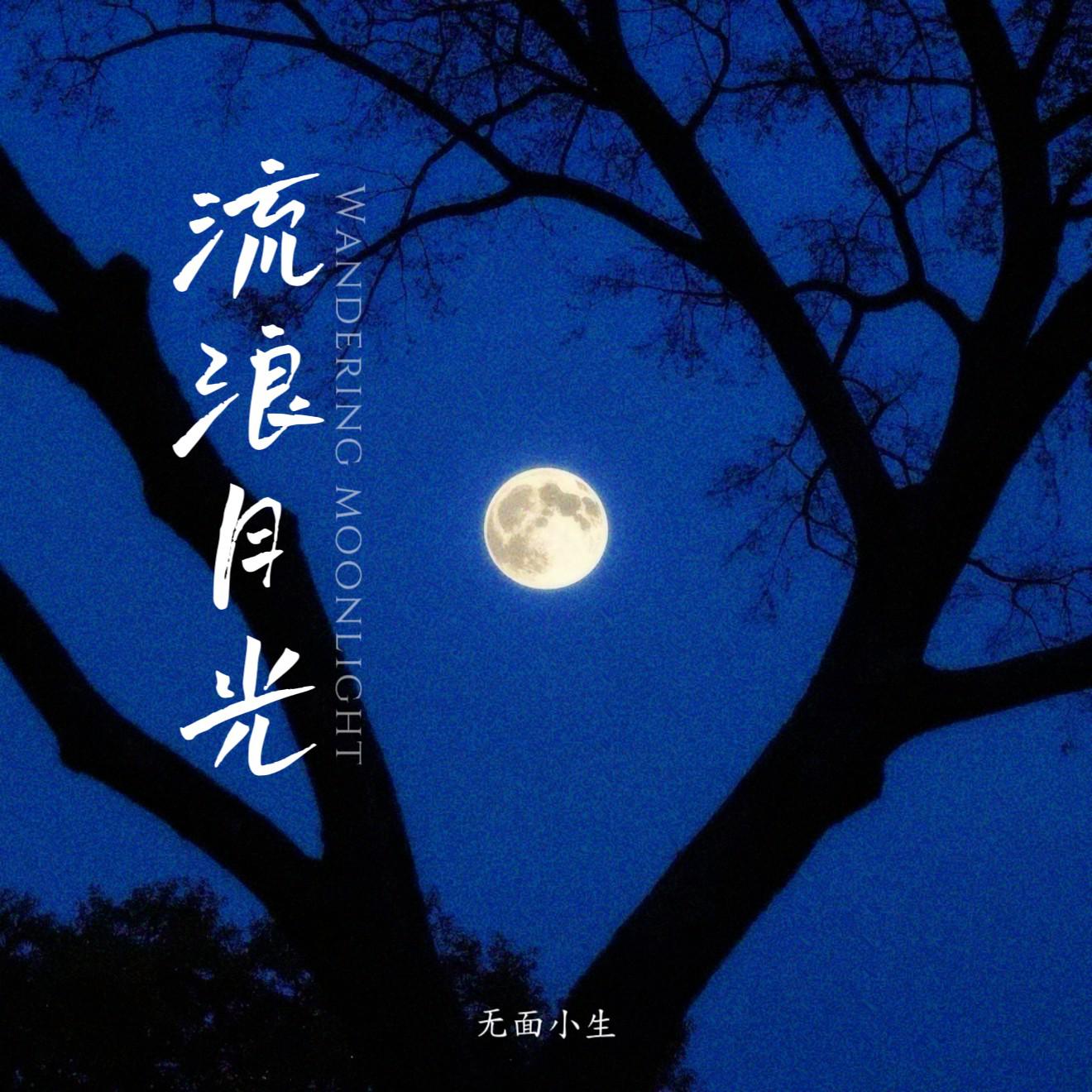 流浪月光专辑