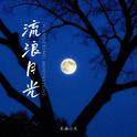 流浪月光专辑
