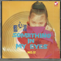 Something in my eyes专辑
