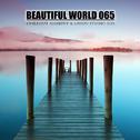 Beautiful world 065专辑