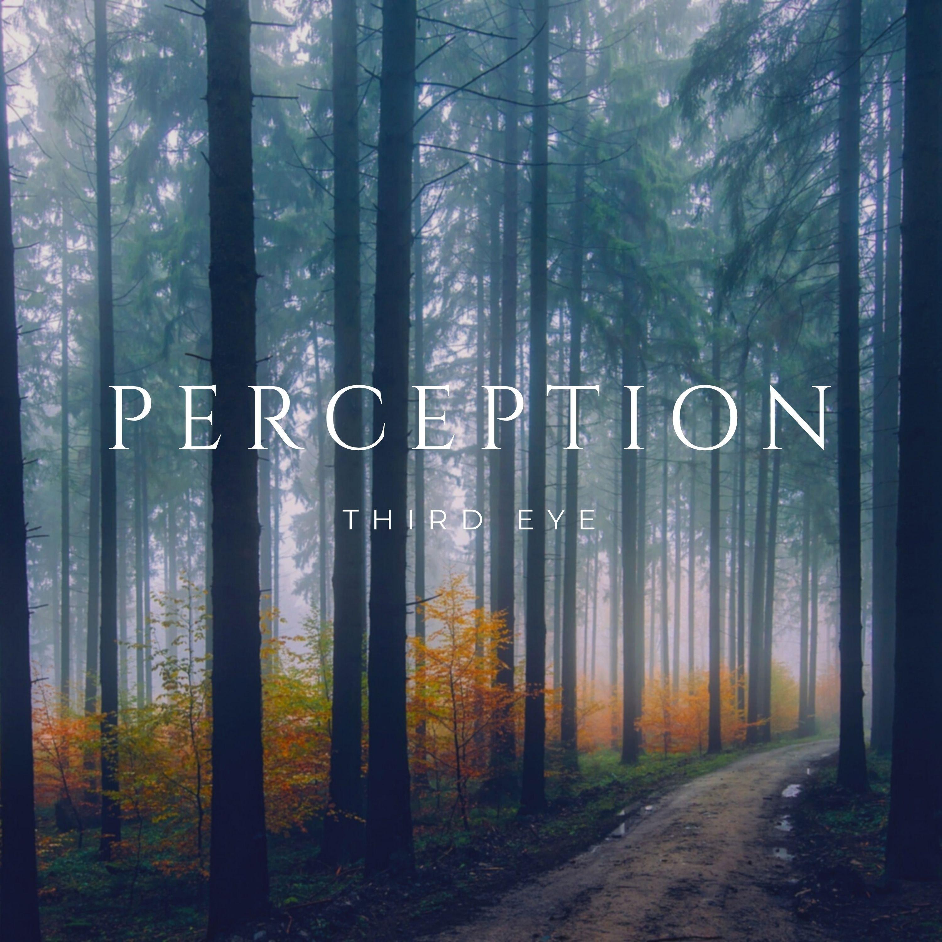 Perception
